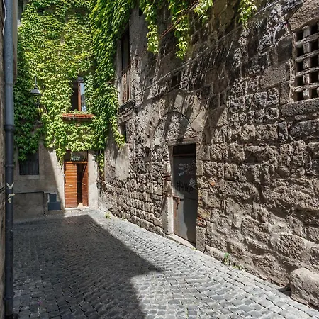 Casa Lunatica فِتيربو