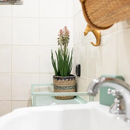 Casa Lunatica * فِتيربو